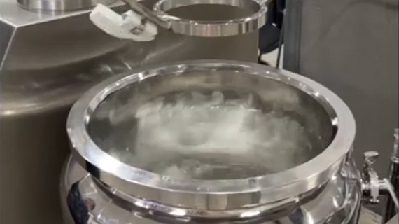 Mezclador emulsionante al vacío
